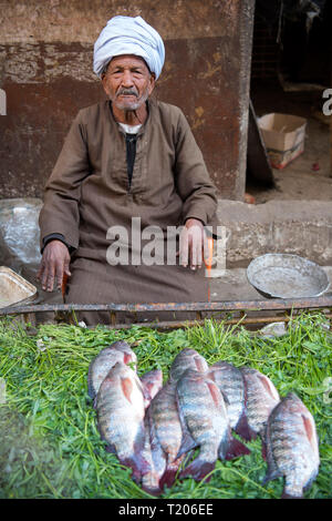 Ägypten, Luxor, Fischhändler im Souk