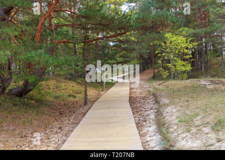 Wooden path, wooden walkway at Baltic sea over sand dunes with pine forest view. Stock Photo