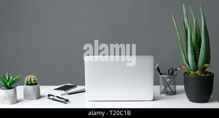 Office table with laptop and house plants on grey background, copy space. Modern workplace concept Stock Photo