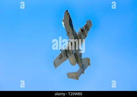 Modern A-10 Warthog tankbuster fighter plane of the US Air Force at the Davis-Monthan AFB in Tucson AZ Stock Photo