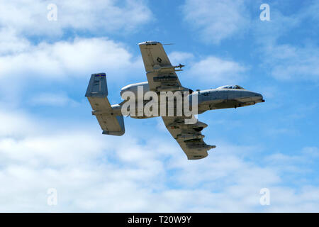 Modern A-10 Warthog tankbuster fighter plane of the US Air Force at the Davis-Monthan AFB in Tucson AZ Stock Photo