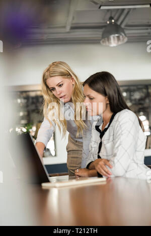 Two female colleagues discussing and working on laptop Stock Photo