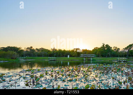 Beautiful sunset scenic of nature and ecology lake in Taitung forest park at Taitung, Taiwan. Stock Photo