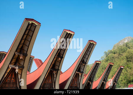 Traditional Tongokan house roofs in Tana Toraja, Sulawesi, Indonesia Stock Photo