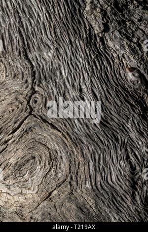 gray twisted dry wood texture Stock Photo