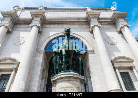 Equestrian Statue of Theodore Roosevelt, it is a bronze sculpture by James Earle Fraser located at the American Museum of Natural History in New York  Stock Photo