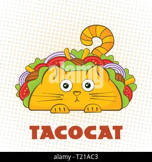 Tacocat surprised character fast food taco symbol vector illustration. Puzzled cat mascot with tasty beef meat, salad and tomato in traditional taco with sign Tacocat for social media promotion Stock Vector