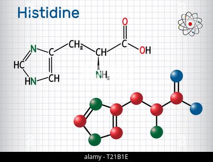 Histidine (L- histidine , His, H) amino acid molecule. It is used in the biosynthesis of proteins. Sheet of paper in a cage. Structural chemical formu Stock Vector