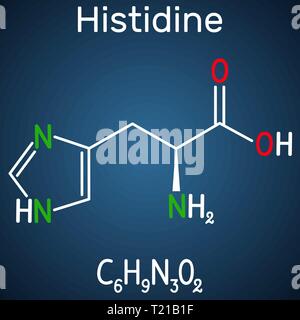 Histidine (L- histidine, His, H) amino acid molecule. It is used in the biosynthesis of proteins. Structural chemical formula on the dark blue backgro Stock Vector