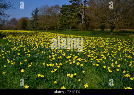 Sunny day in Hughenden Park, High Wycombe, Buckinghamshire, UK Stock Photo