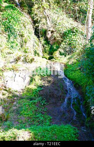 Dyserth, North Wales, UK. 29th Mar, 2019. Dyserth Falls in the spring heat Credit: IAN Fairbrother/Alamy Live News Stock Photo