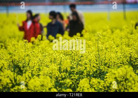 Huzhou, China's Zhejiang Province. 30th Mar, 2019. People visit cole flower fields at an ecological scenic spot in Huzhou City, east China's Zhejiang Province, March 30, 2019. A cole flower tourism festival kicked off here on Saturday. Credit: Xu Yu/Xinhua/Alamy Live News Stock Photo
