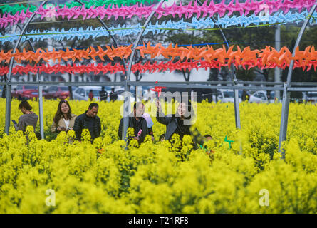 Huzhou, China's Zhejiang Province. 30th Mar, 2019. People visit cole flower fields at an ecological scenic spot in Huzhou City, east China's Zhejiang Province, March 30, 2019. A cole flower tourism festival kicked off here on Saturday. Credit: Xu Yu/Xinhua/Alamy Live News Stock Photo