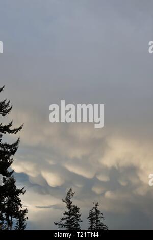 Mammatus clouds over Eugene, Oregon, USA. Stock Photo