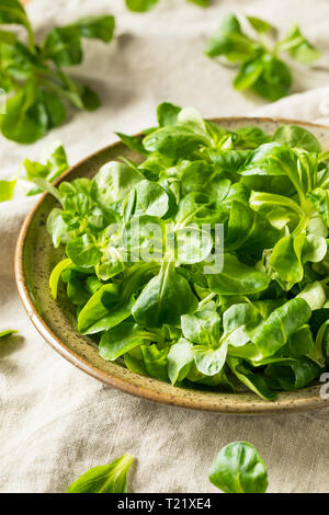 Raw Green Organic Mache Rosettes in a Bowl Stock Photo