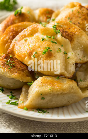 Homemade Fried Polish Potato Pierogis with Sour Cream Stock Photo