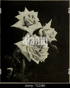 The 1916 book 'Beautiful Gardens in America' showcases exceptional ...