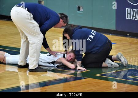 Coach an athletic trainer tend to an injured player on the gym floor. USA. Stock Photo