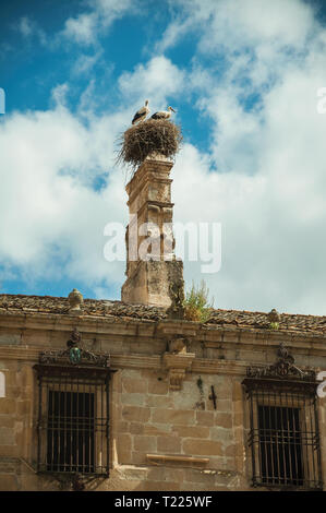 Chimney on the roof of an old building and a nest with couple of storks at Trujillo. Birthplace town of the Conquistador Francisco Pizarro in Spain. Stock Photo