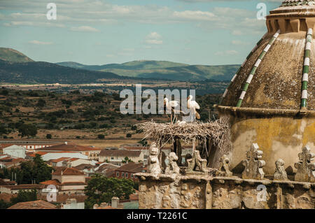 Nest of storks on top of gothic tower with cupola and rural landscape at Trujillo. Birthplace town of the Conquistador Francisco Pizarro in Spain. Stock Photo