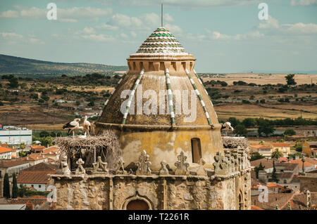 Nest of storks on top of gothic tower with cupola and rural landscape at Trujillo. Birthplace town of the Conquistador Francisco Pizarro in Spain. Stock Photo