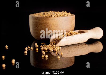 Lot of whole white mustard seeds with wooden bowl and wooden scoop isolated on black glass Stock Photo