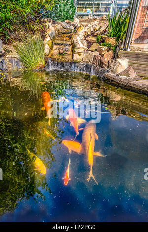 A beautiful garden rockery with a waterfall Stock Photo - Alamy