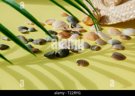 Summer holiday background. Tropical summer concept with woman fashion accessories, leaves and seashells on yellow background. Flat lay, top view. Stock Photo
