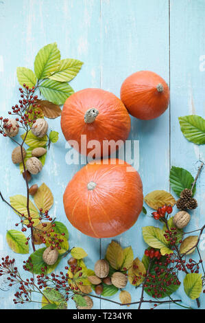 Autumnal arrangement with Hokkaido pumpkins, nuts, rosehips and autumn leaves Stock Photo