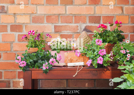 Various potted spring and summer flowers, gardening tools and gloves Stock Photo