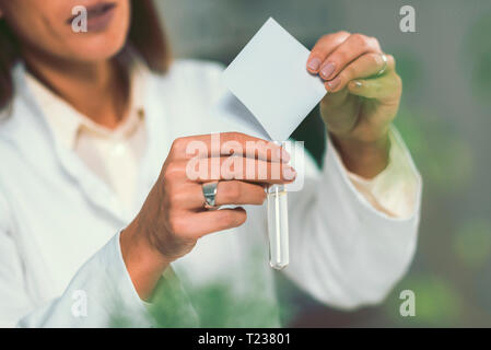 Wooden spoon full of homeopathic globules, small bottles with homeopathic pills and mint leaves in background. Stock Photo