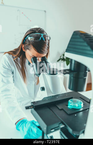Young scientist working in her lab. Stock Photo
