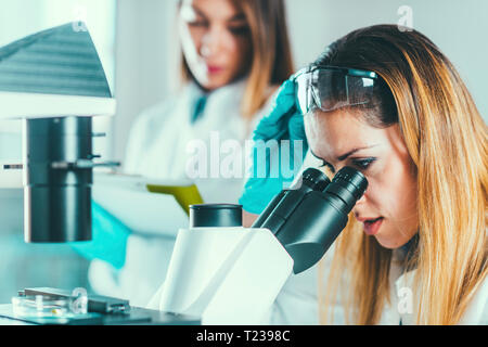 Female biotechnology scientists working in laboratory. Stock Photo