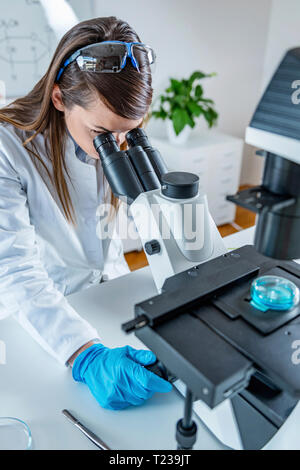 Young scientist working in her lab. Stock Photo