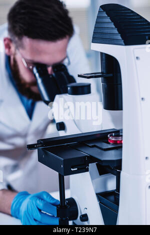 Young male researcher looking at samples under microscope in the laboratory. Stock Photo