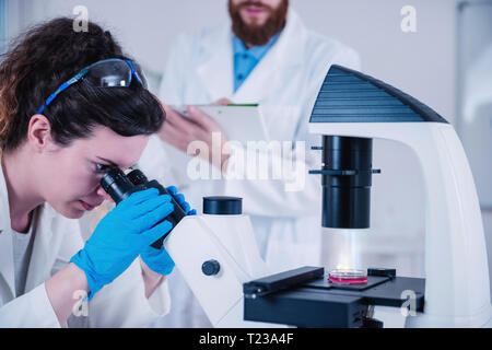 Young woman scientist doing test in laboratory, male scientist taking notes. Stock Photo