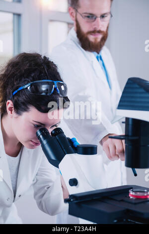 Young female scientist doing test in laboratory, male scientist taking notes. Stock Photo
