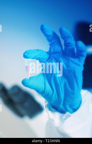 Hand holding test sample in lab, blue gloves. Stock Photo