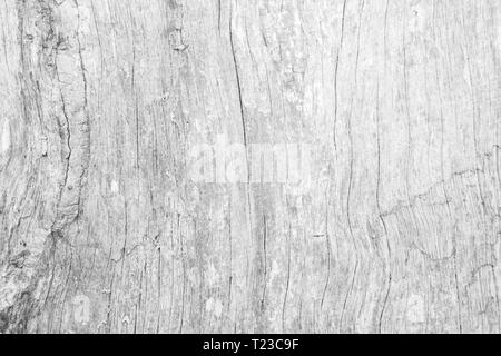 Table top view of wood texture in white light natural color background. Grey clean grain wooden floor birch panel backdrop with plain board pale detai Stock Photo
