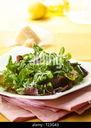 Italian leaf salad, low carb Stock Photo