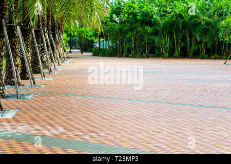 pattern of brick wall on paving floor near playground in public park Stock Photo