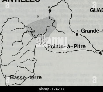 Archive image from page 529 of A Directory of Neotropical Wetlands A Directory of Neotropical Wetlands.  directoryofneotr86scot Year: 1986  French Antilles FRENCH ANTILLES Basse-terre    20 Km GUADELOUPE Grande-terre /' MARIE-GALANTE MARTINIQUE Fbrt-de-France Stock Photo