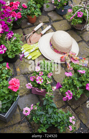 Various potted spring and summer flowers, straw hat, gardening tools and gloves on cabblestone pavement Stock Photo