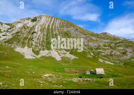 Montenegro, Durmitor National Park, Durmitor massif, mountain Prutas Stock Photo