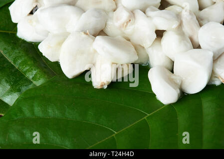 Raw cacao beans on green leaf background close up Stock Photo