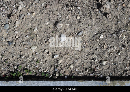 Ground photographed from above. In this photo you can see some brown sandy ground, some rocks and little green plants. There is also a grey stones. Stock Photo