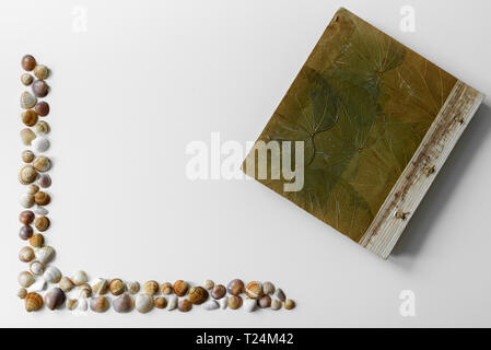 Summer arrangement created with seashells frame and vacation notebook on the white background with copy space. Stock Photo