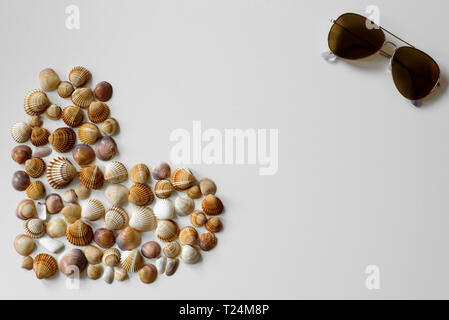 Minimalistic summer decoration created from full heart seashells and aviator sunglasses with copy space between these objects on white background. Stock Photo