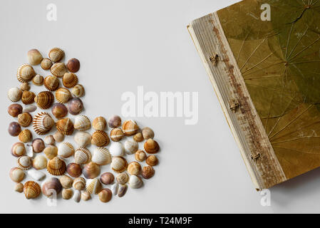 Full heart created from seashells and leaf cover of vacation notebook on white background. Stock Photo