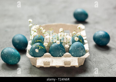 Easter composition - Blue eggs dyed with red cabbage leaves, white gypsophila flowers and an egg container on a gray textured background Stock Photo